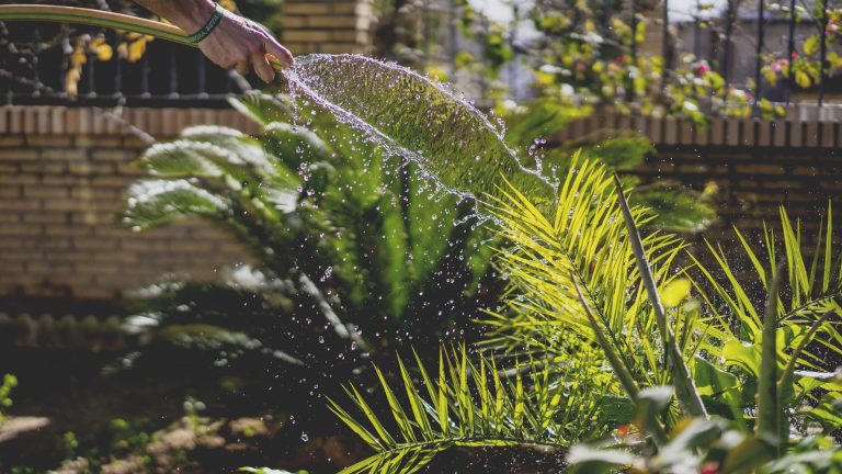 tuin laten aanleggen Gebr. van Klaveren Hoveniers